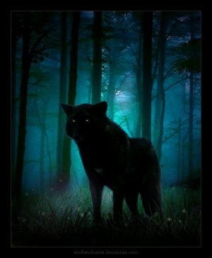 Loup
